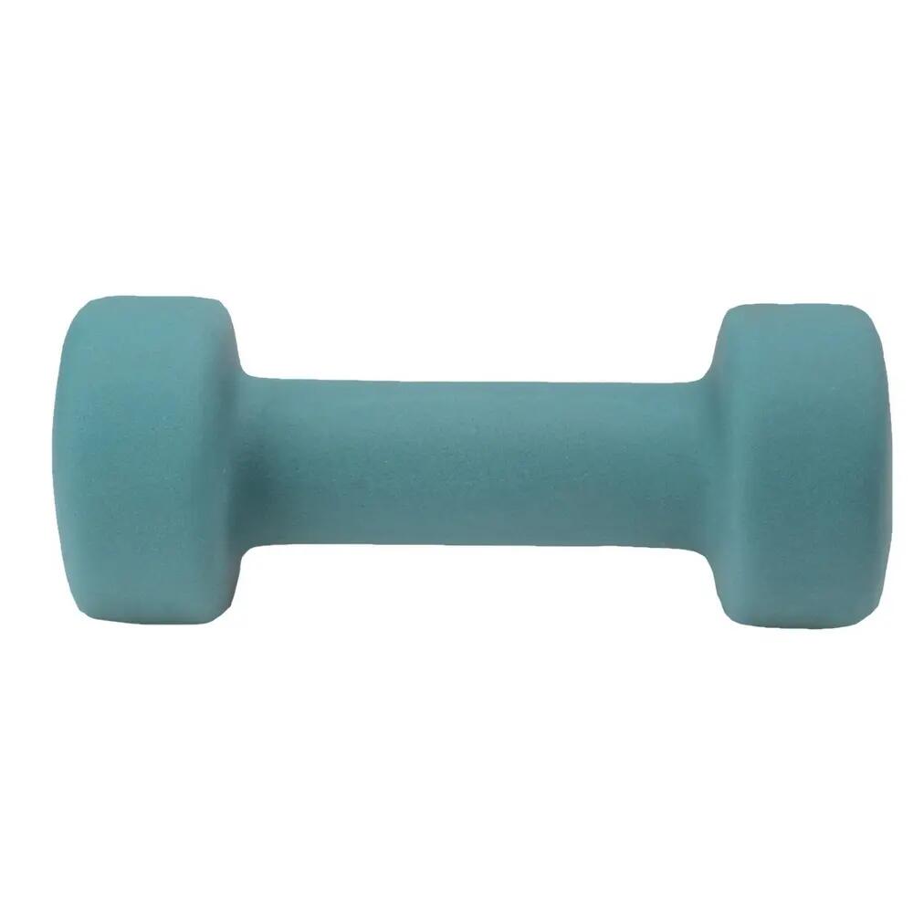 Dynamos Dumbbell (Dusty Green)