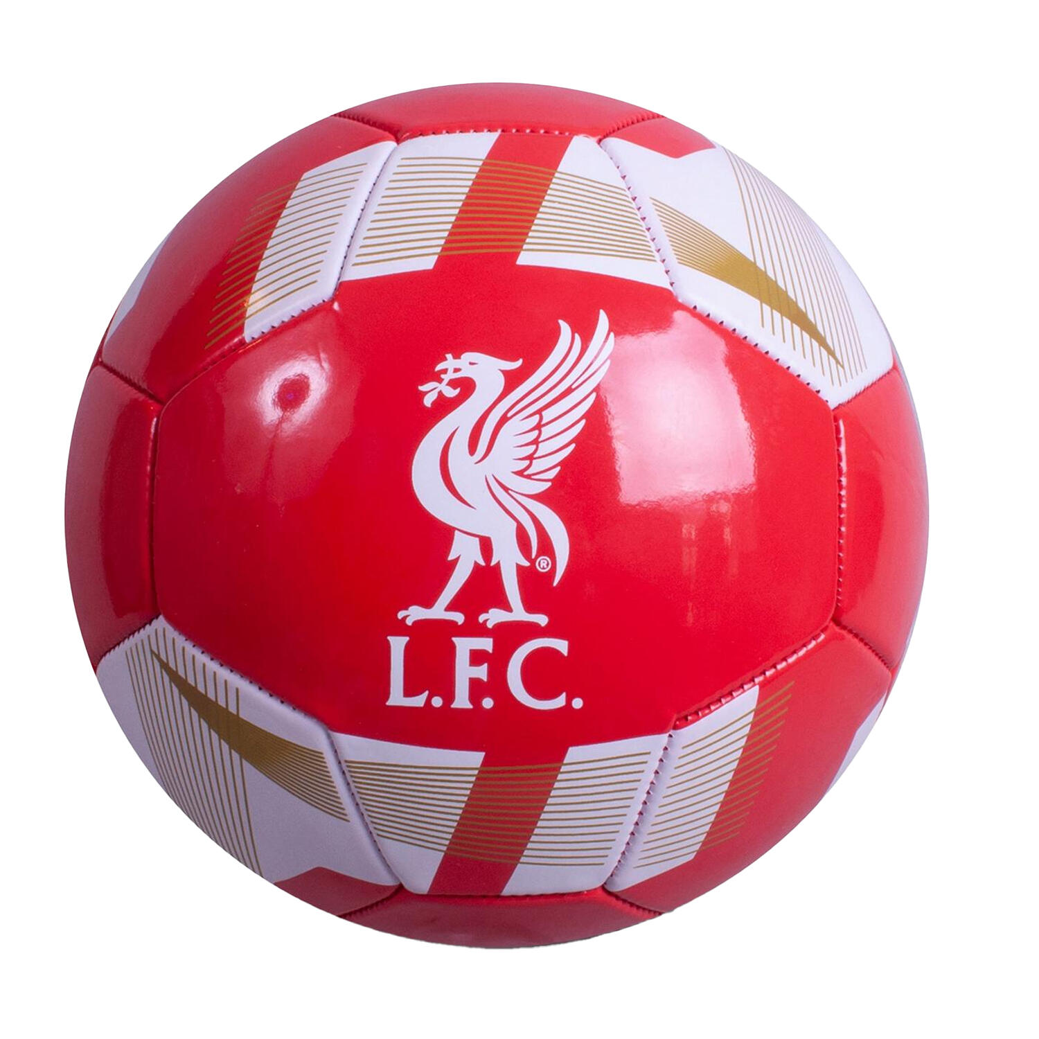 LIVERPOOL FC picture