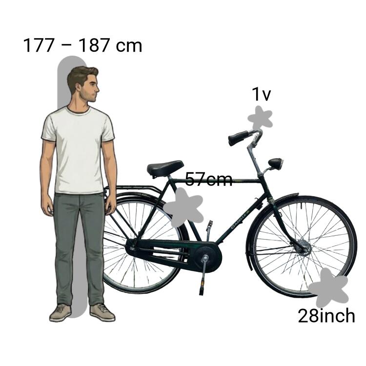 Bicicletta usata Gazelle Primeur 2/4
