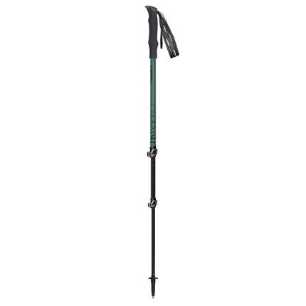 Kije trekingowe Masters PATHFINDER SAGE GREEN/DARK GREEN Uniwersalny