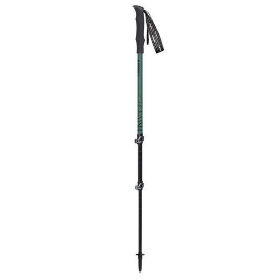 Kije trekingowe Masters PATHFINDER SAGE GREEN/DARK GREEN Uniwersalny