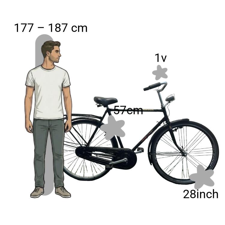 De segunda mano Gazelle 2/4