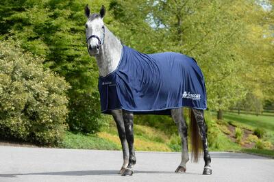 Outdoor paardendeken bucas prize cooler