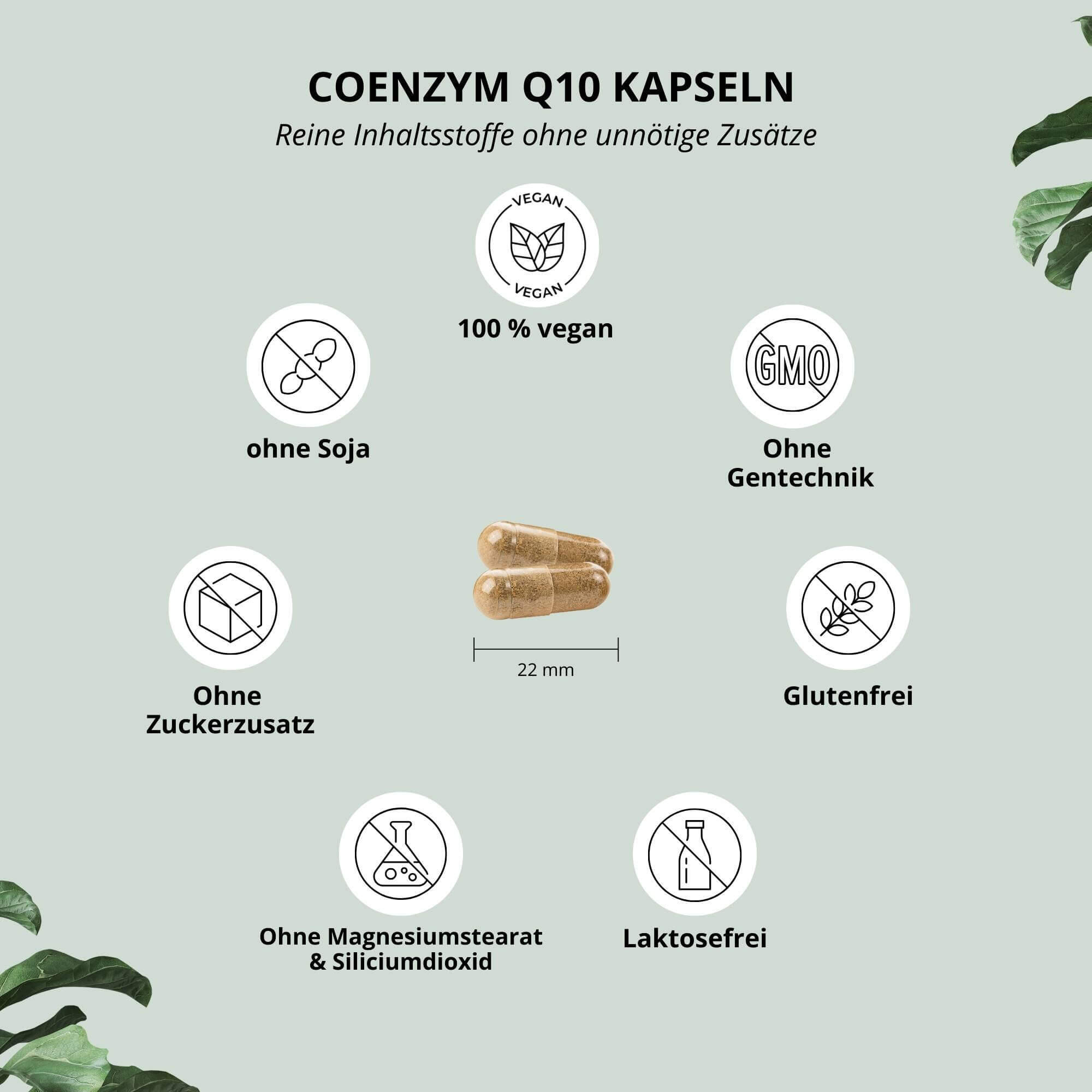 Coenzym Q10 120 Kapseln 4/5