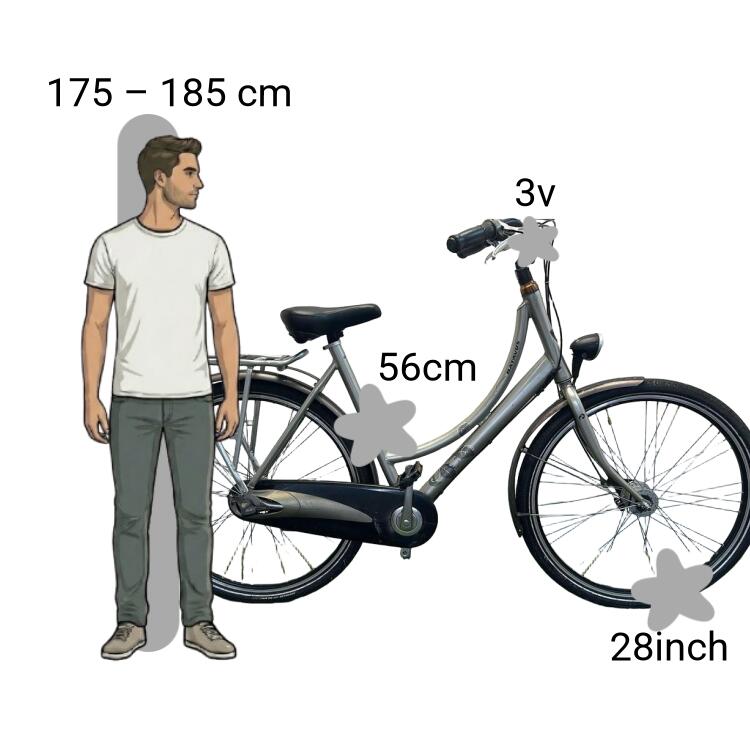 Gebraucht Batavus Diva 2/4