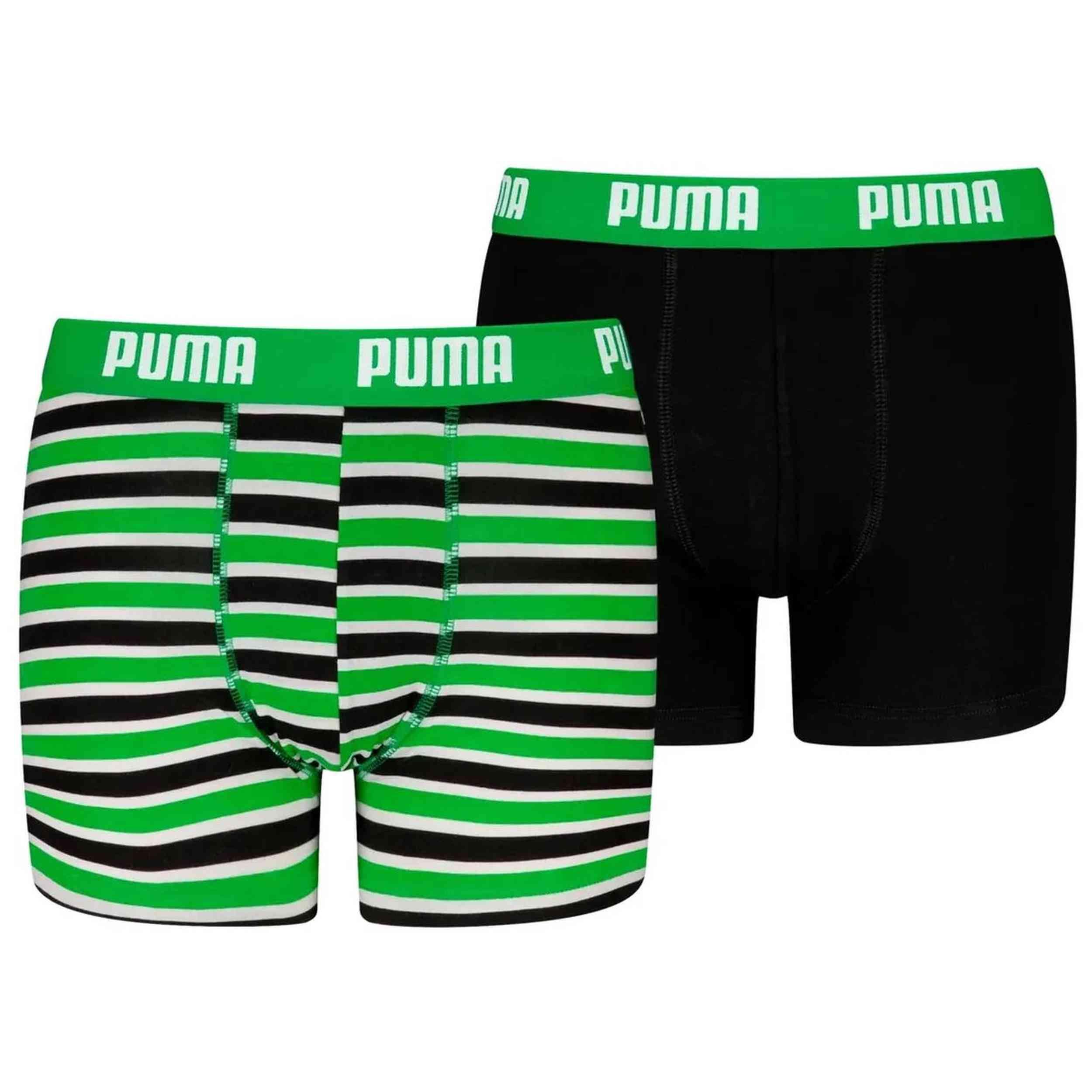 PUMA picture
