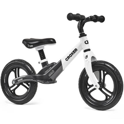 Draisienne Titanium
