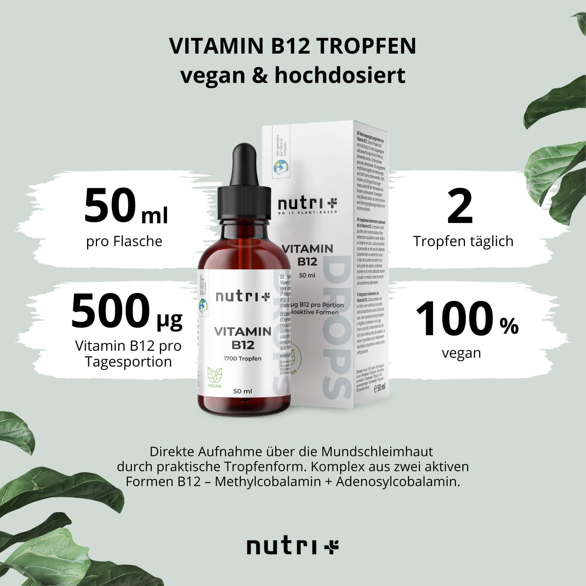 Vitamin B12 Tropfen - 50ml 3/5
