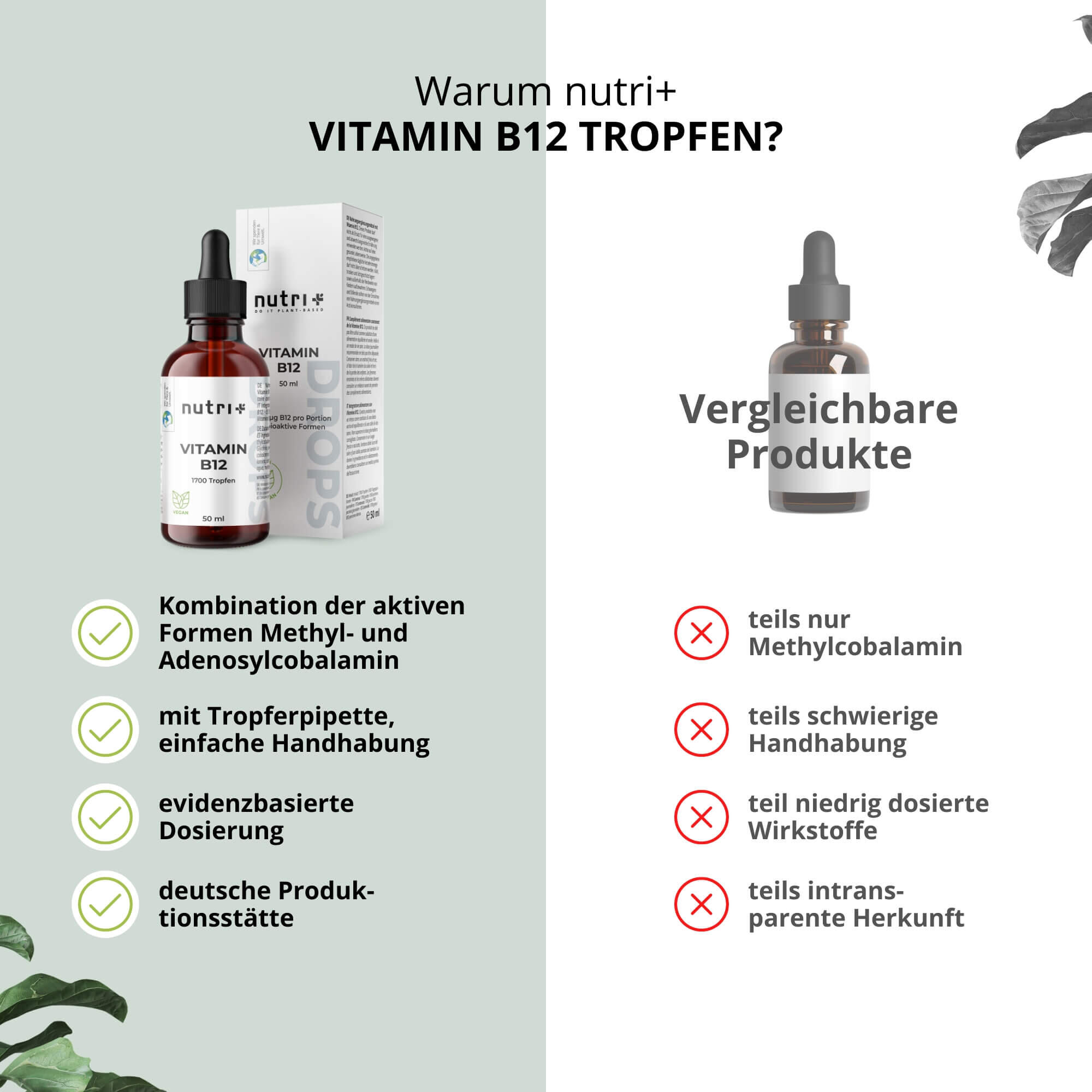 Vitamin B12 Tropfen - 50ml 5/5