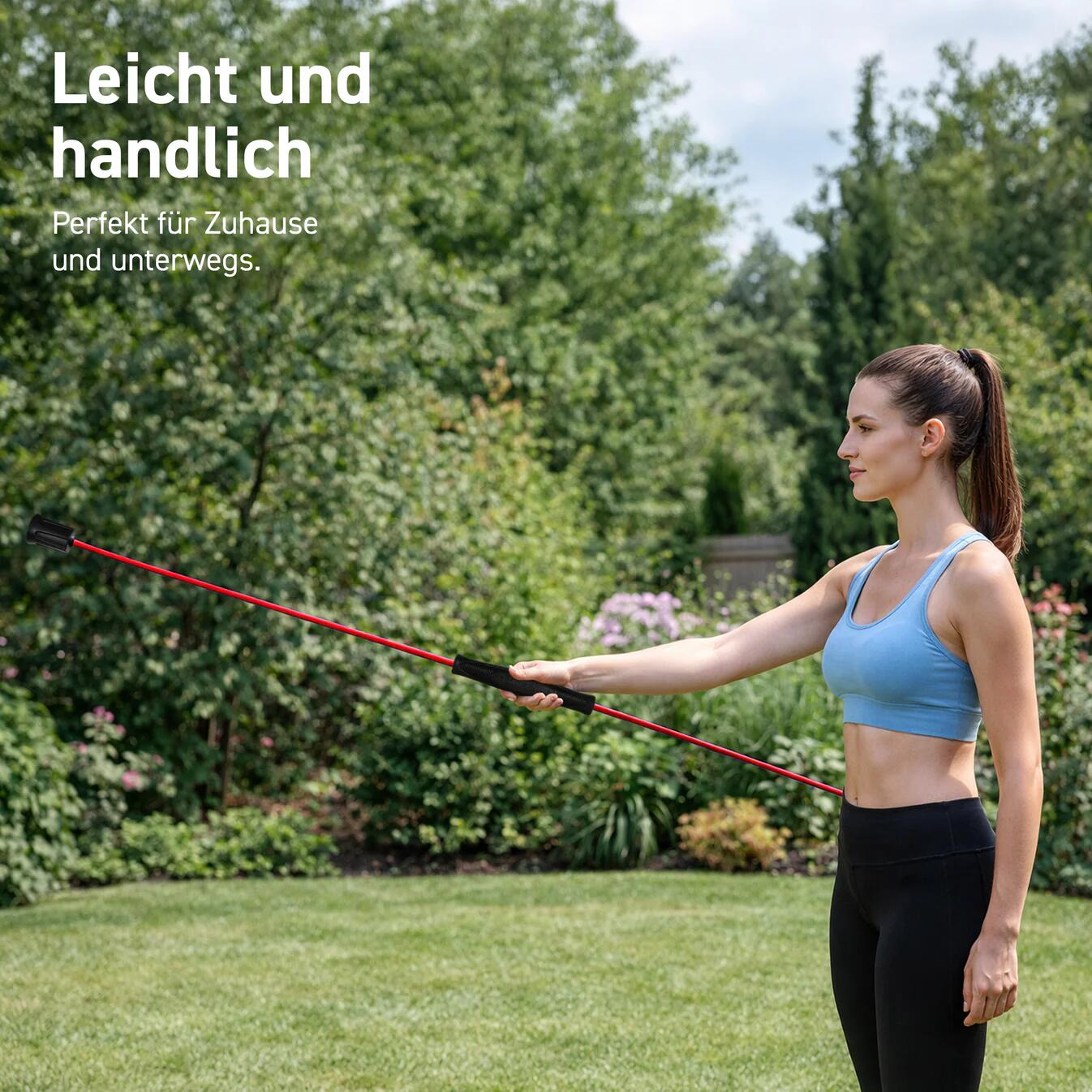 Schwingstab Premium 6/7