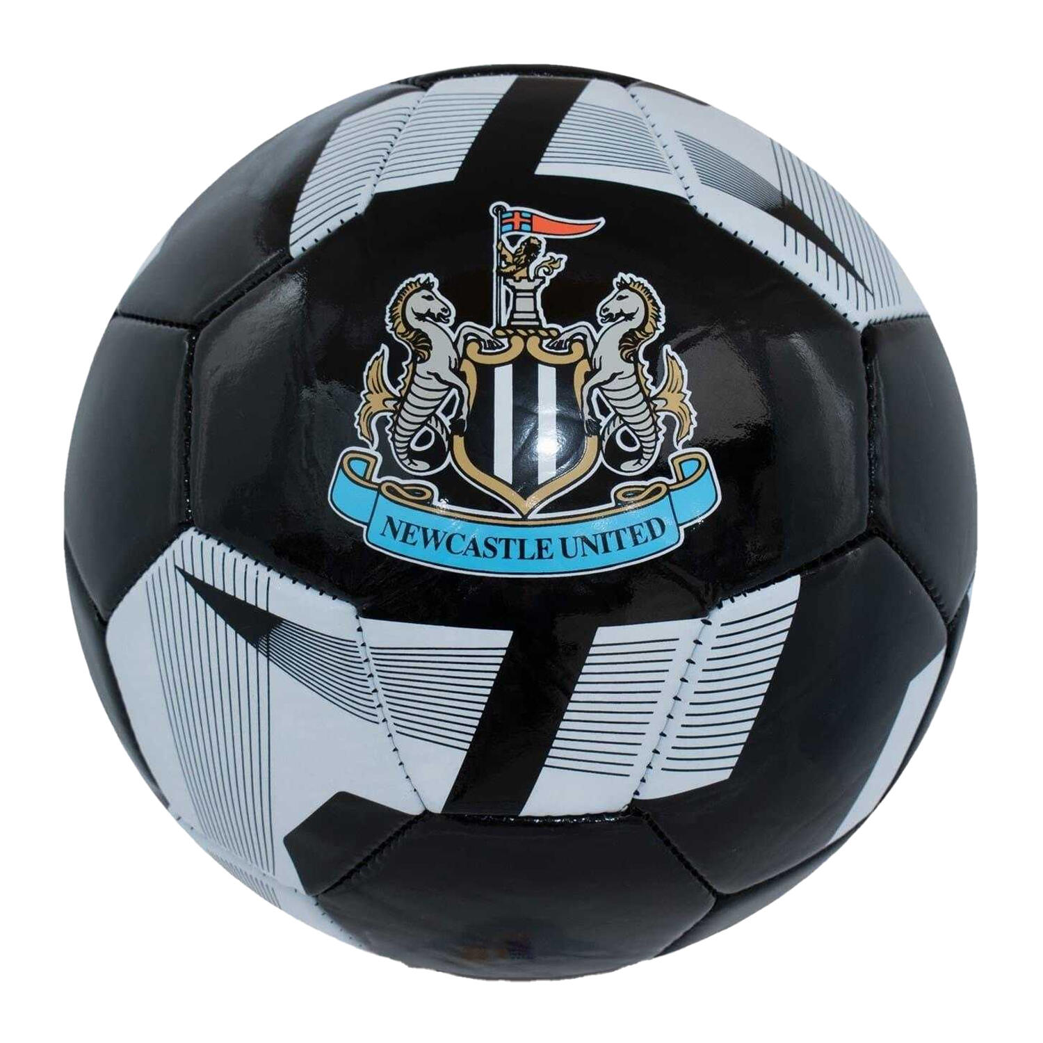 NEWCASTLE UNITED picture