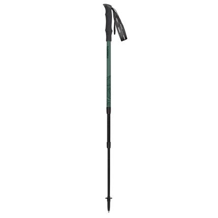 Kije trekingowe Masters HIKER SAGE GREEN/DARK GREEN Uniwersalny