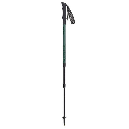 Kije trekingowe Masters HIKER SAGE GREEN/DARK GREEN Uniwersalny