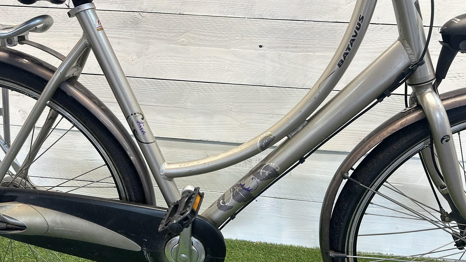 BATAVUS picture