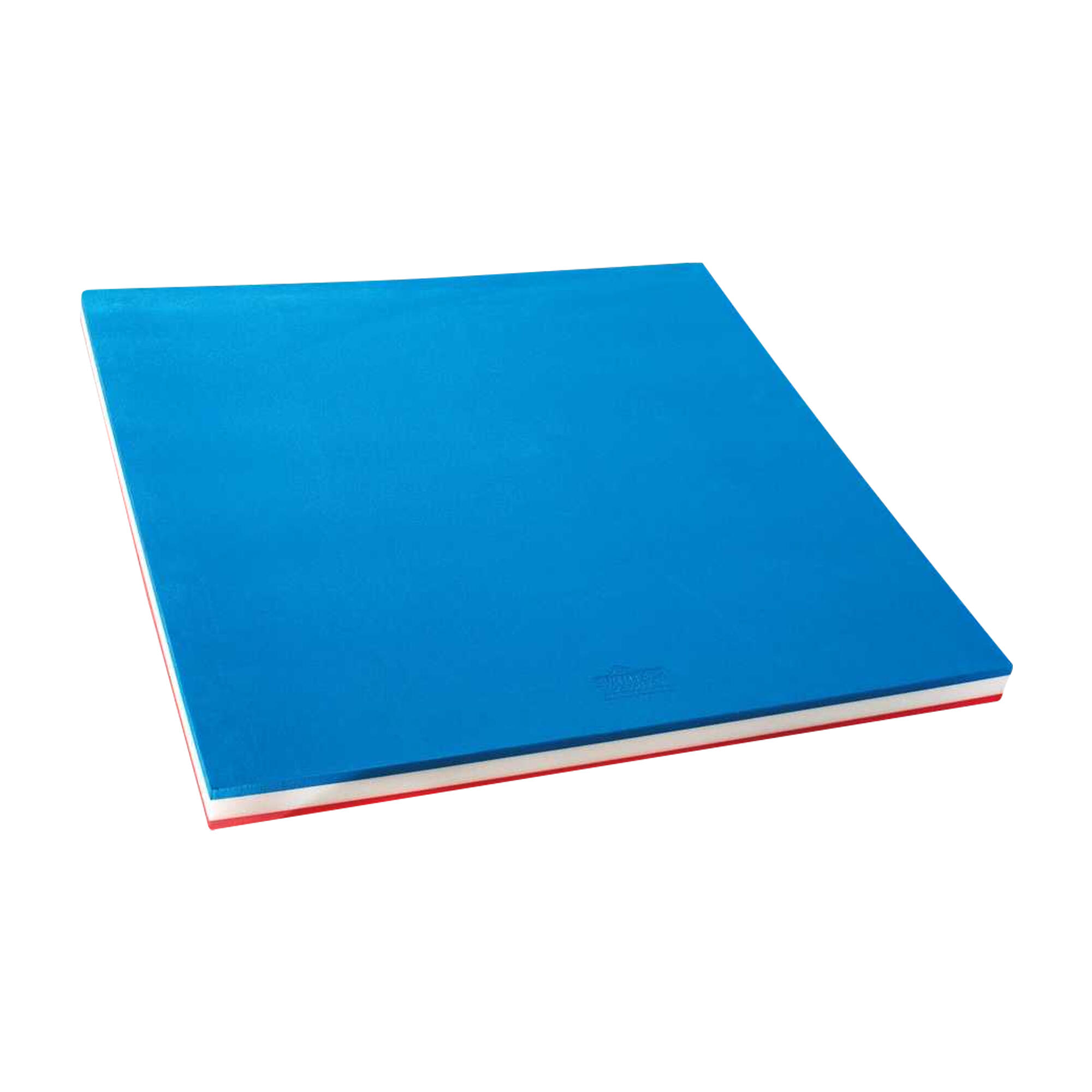 Flotteur Pour Natation Enfant (Bleu / Blanc / Rouge) 2/2