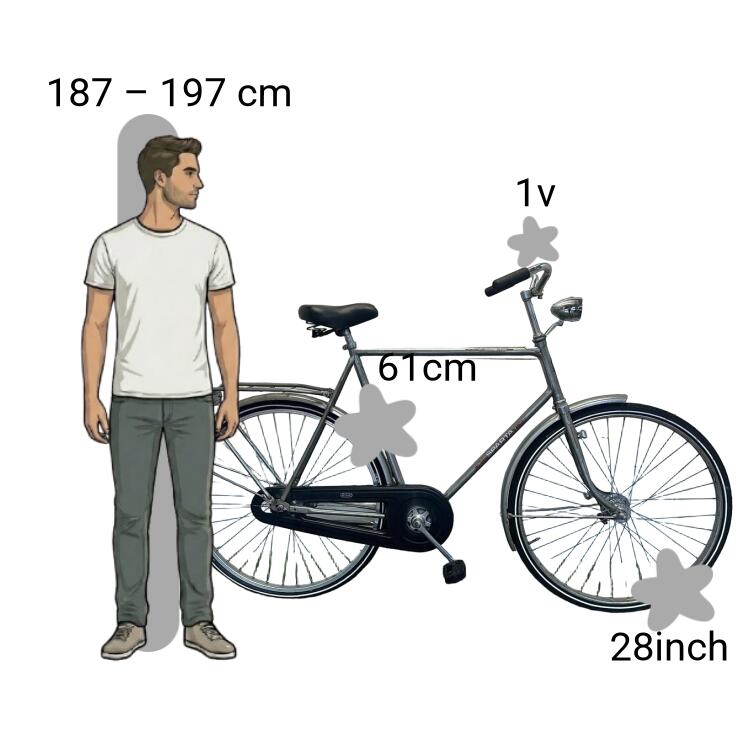 Bicicletta usata Sparta 2/4