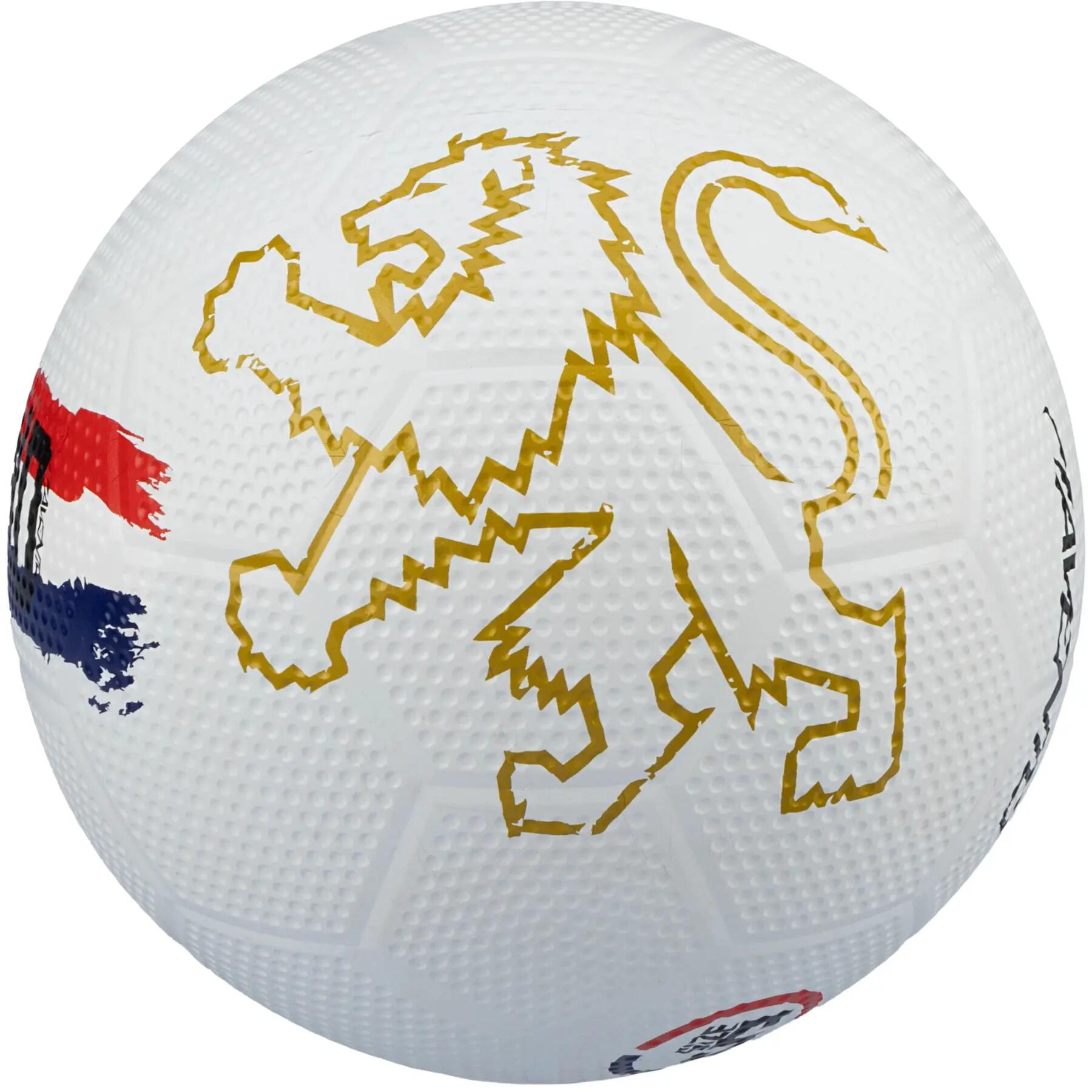 Calcio Avento Holland 2/2