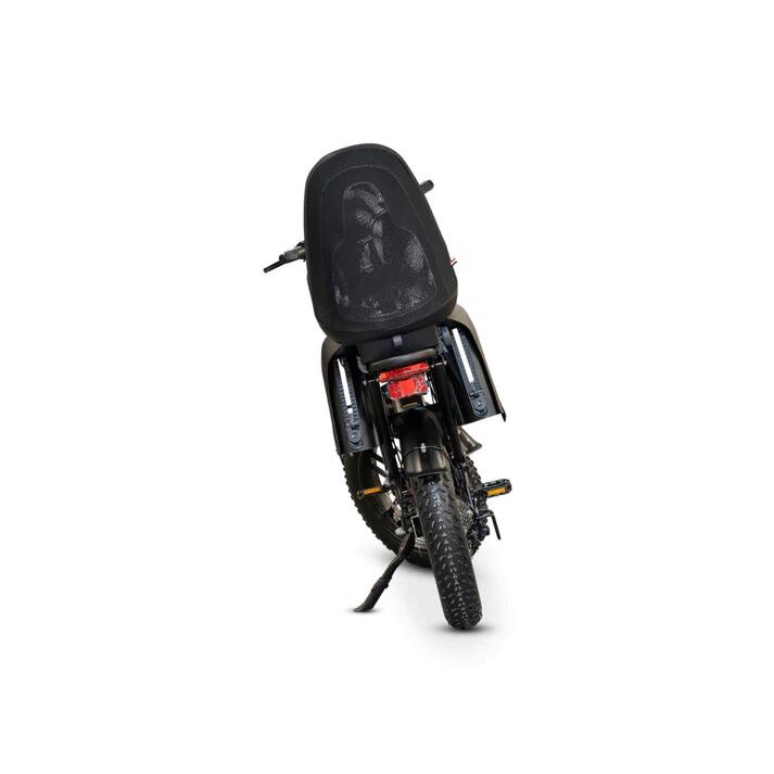 Ouxi V8 Family bike Special Edition 2026 nieuwste model , 250Watt motorvermogen 4/4