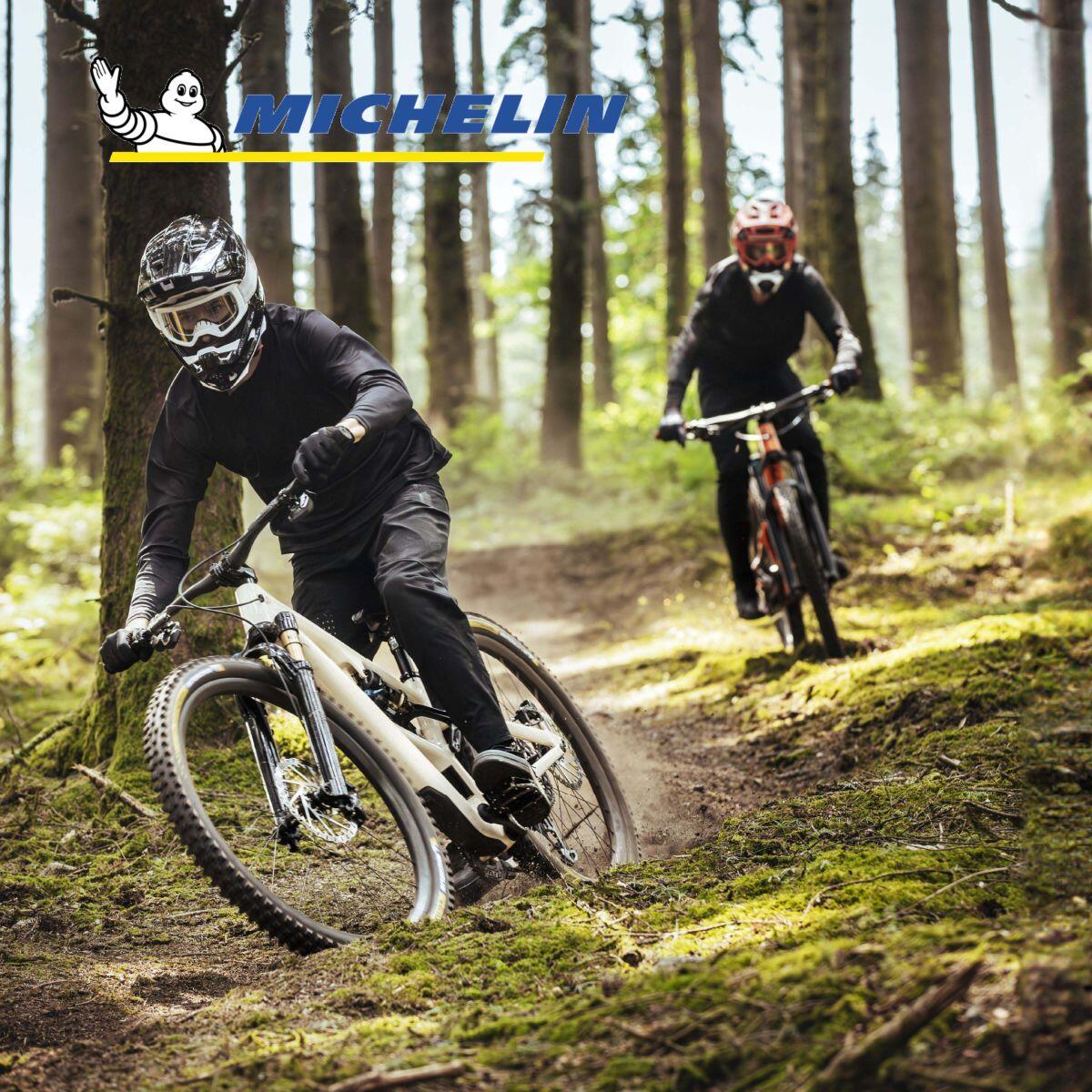 Lot de 2 pneus VTT enduro 29x2.50 tubeless ready tringles souples MH 6/7
