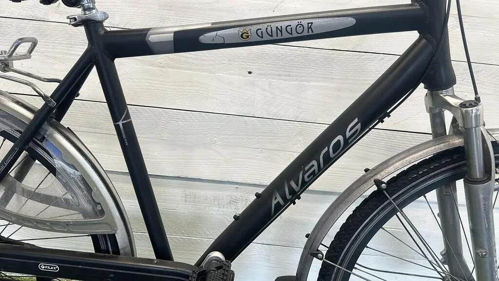 Bicicletta usata Alvaros Güngör 4/4