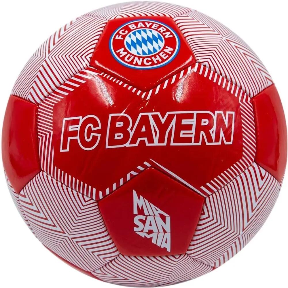 FC BAYERN MÜNCHEN picture