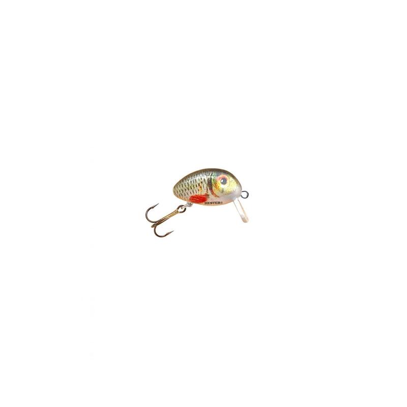 ccec5521-969c-4bf3-aad4-a0b0b1679c5d_novar