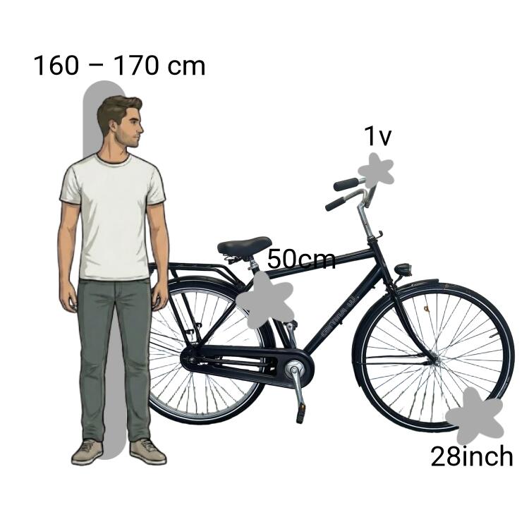 Bicicleta usada Cortina U1 2/4