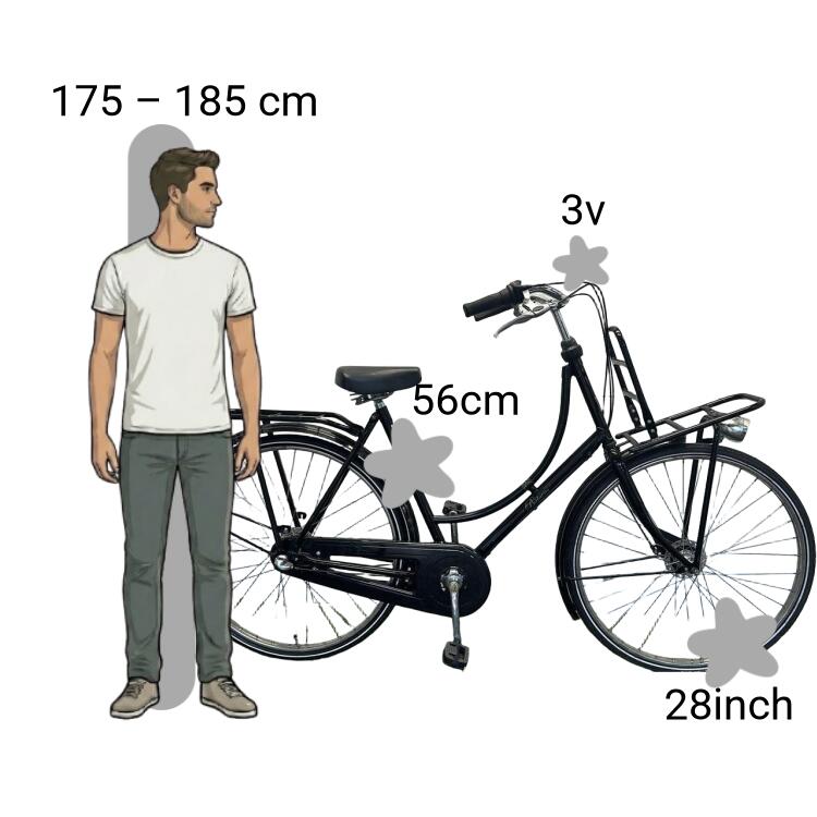 Gebraucht Batavus Old Dutch 2/4