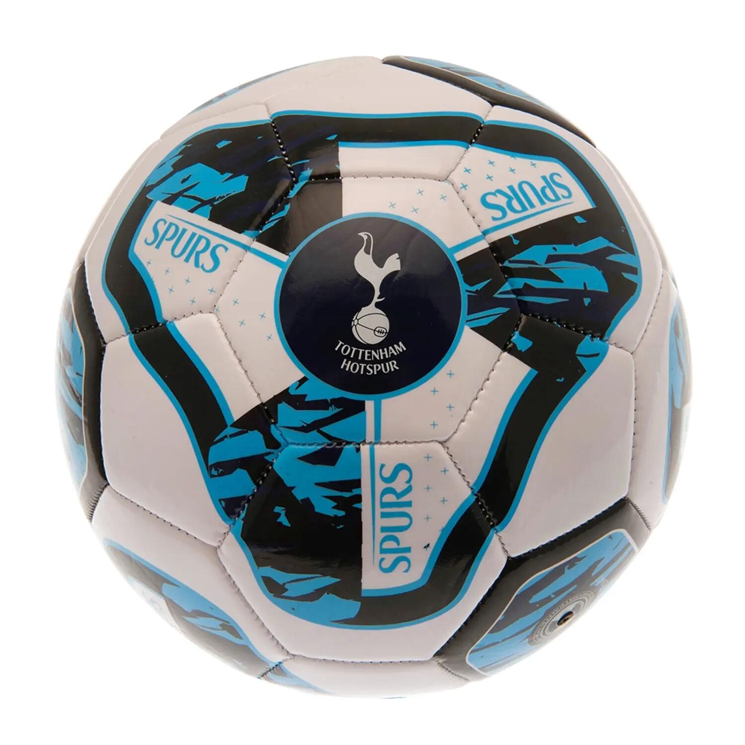 TOTTENHAM HOTSPUR picture
