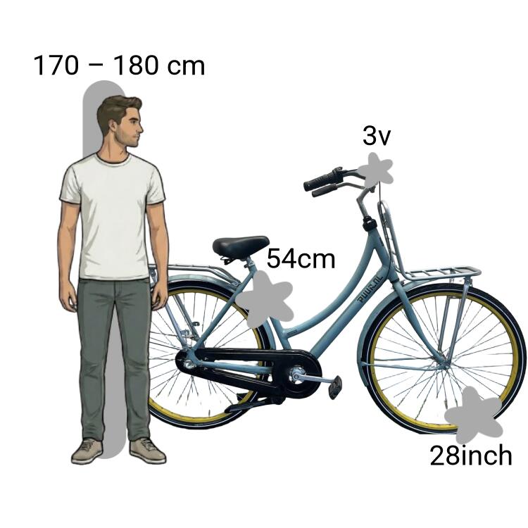 Bicicleta usada Gazelle Puur NL 2/4