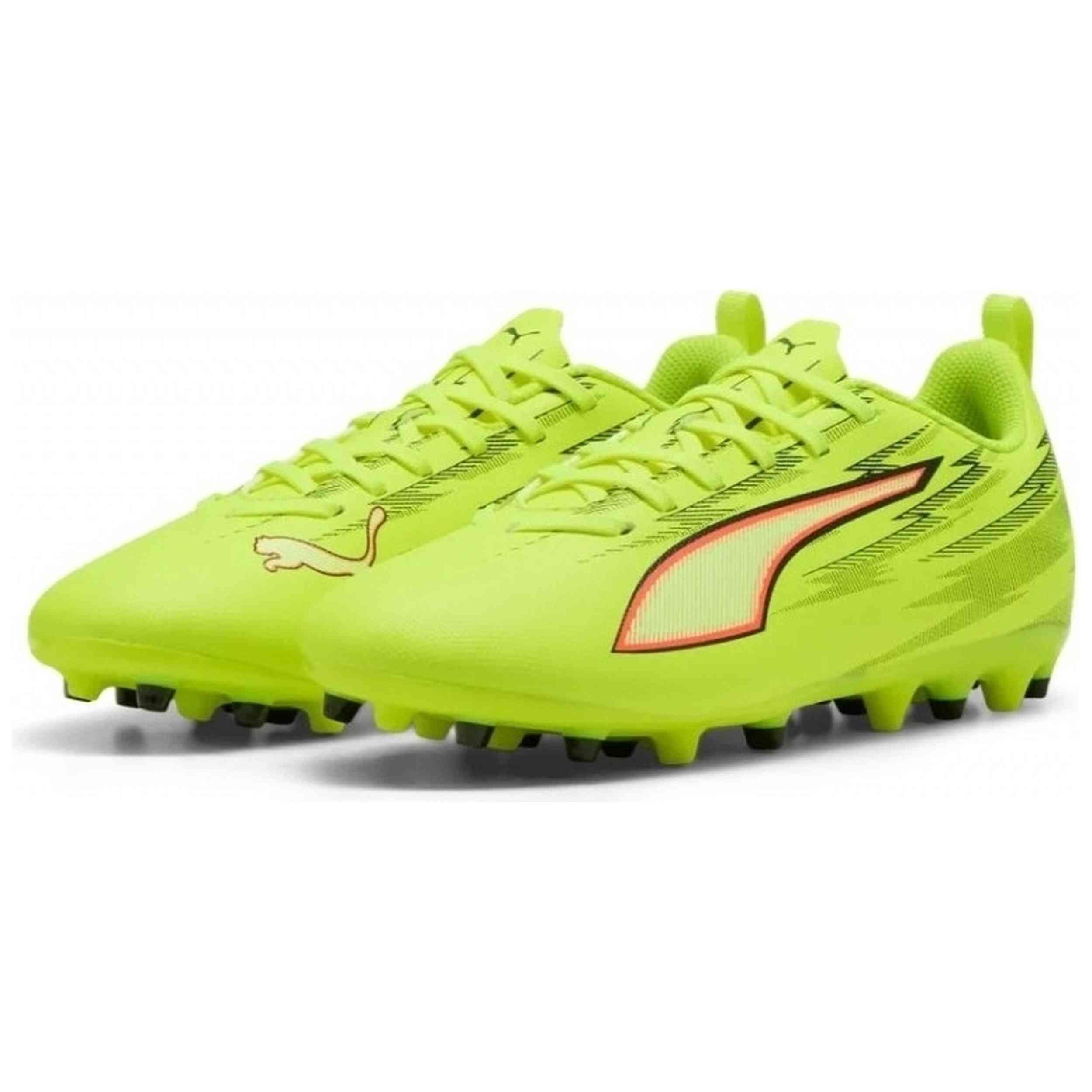 PUMA picture