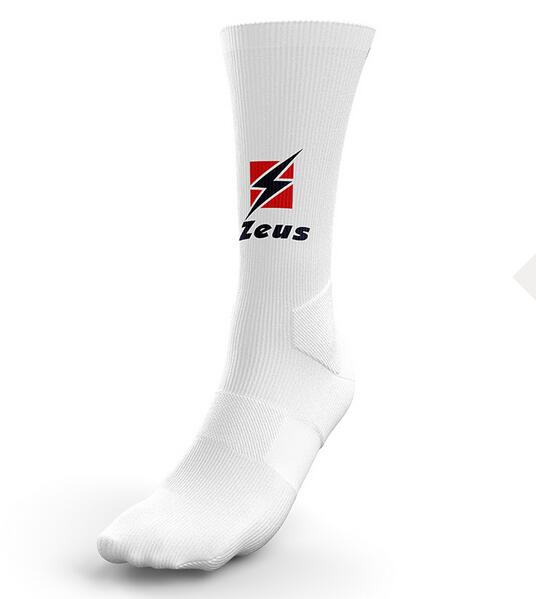 ZEUS picture