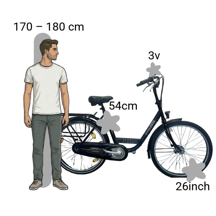 Tweedehands Batavus Delivery 2/4