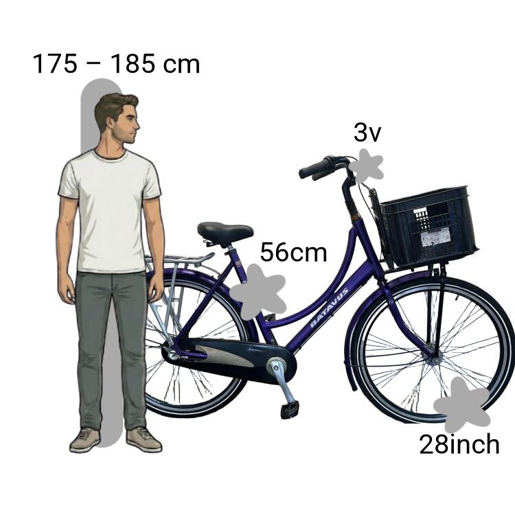 Bicicletta usata Batavus Diva 2/4