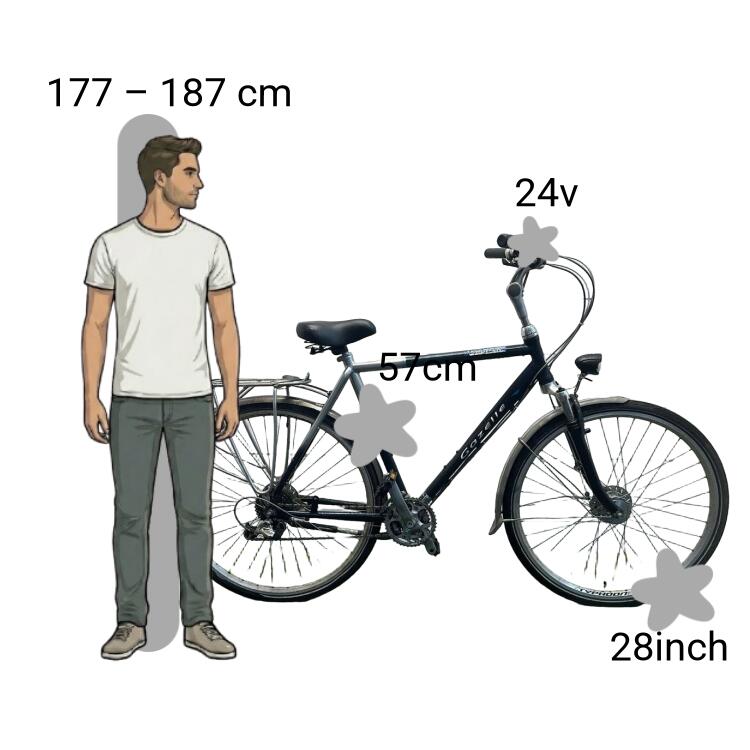 Bicicleta usada Gazelle Medeo 2/4