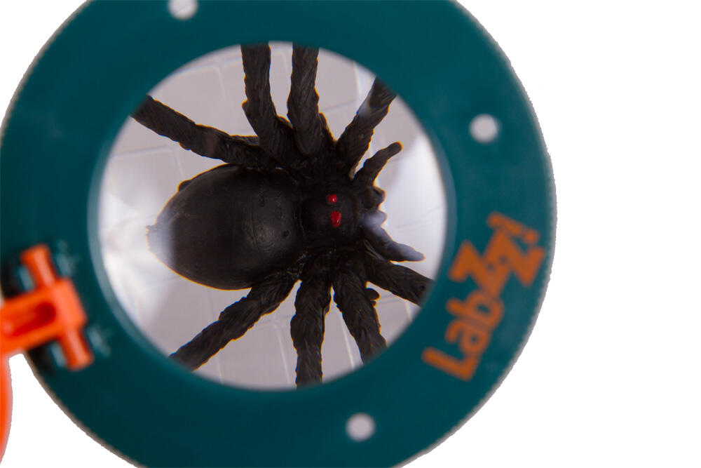 Contenitore per insetti - lente 6x+3x - LabZZ C1 - nero 7/9