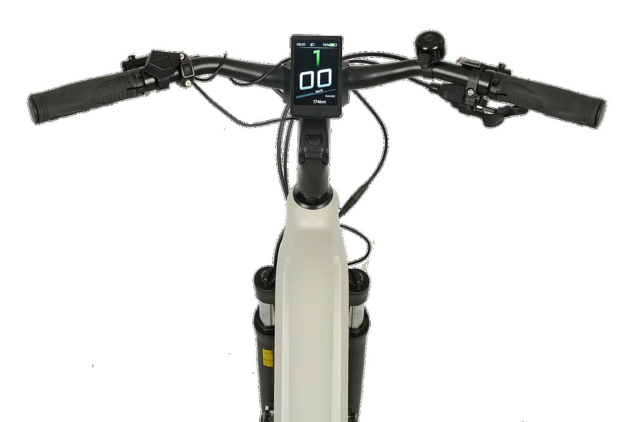 Prophete E-Bike Entdecker 5.0 28" Trapez RH50 3/4