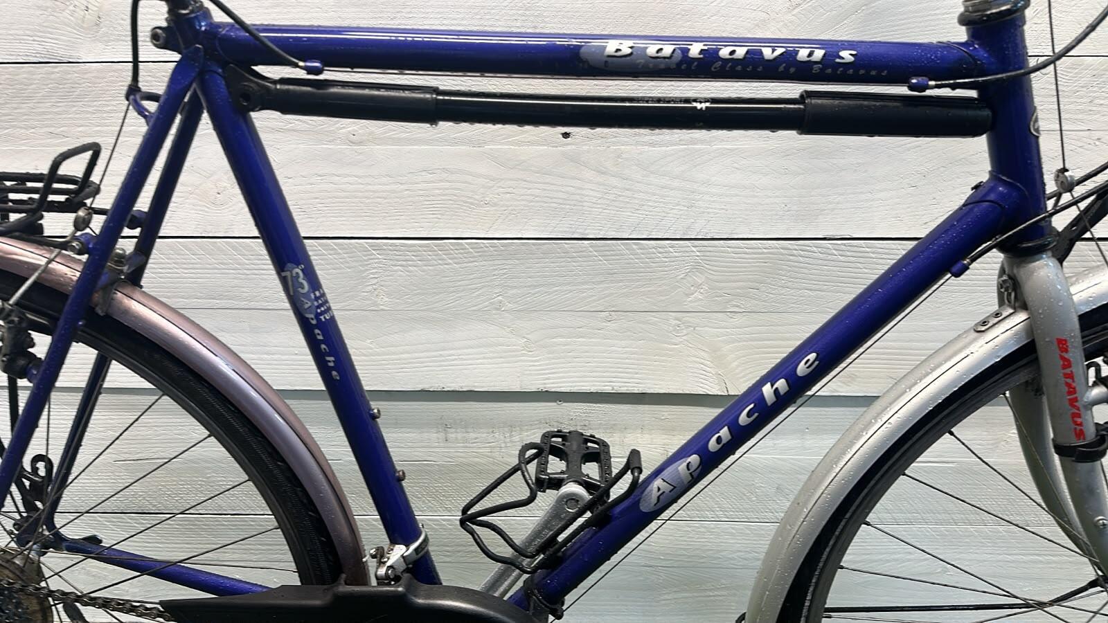 BATAVUS picture