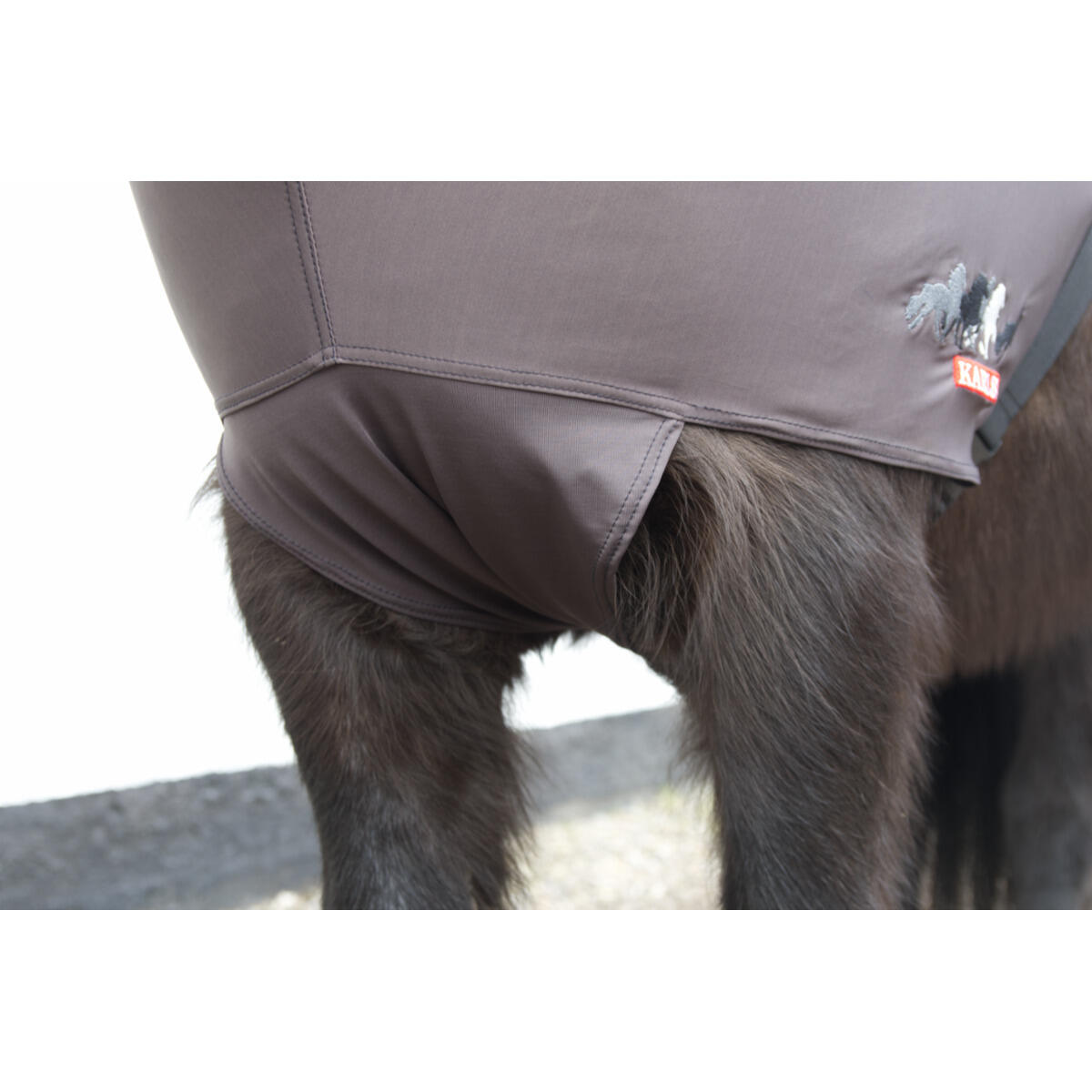 Couverture anti-UV pour cheval avec couvre-cou Karlslund 3/3