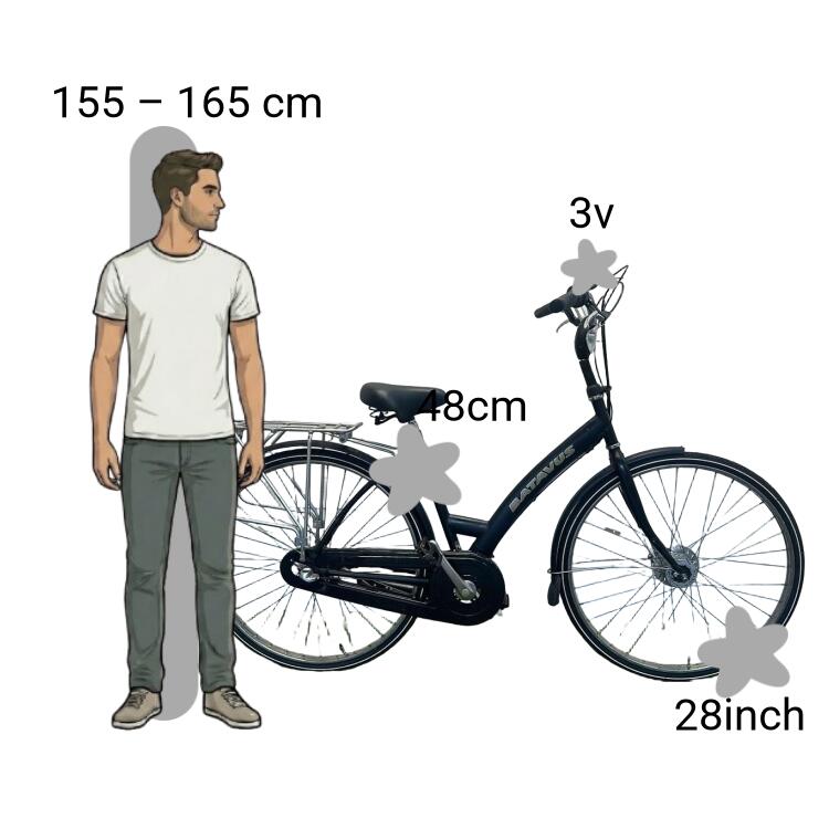 Bicicletta usata Batavus Live 2/4