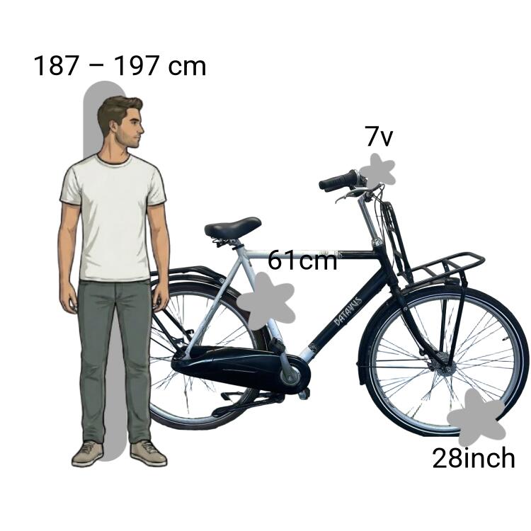 Bicicleta usada Batavus Lying 2/4