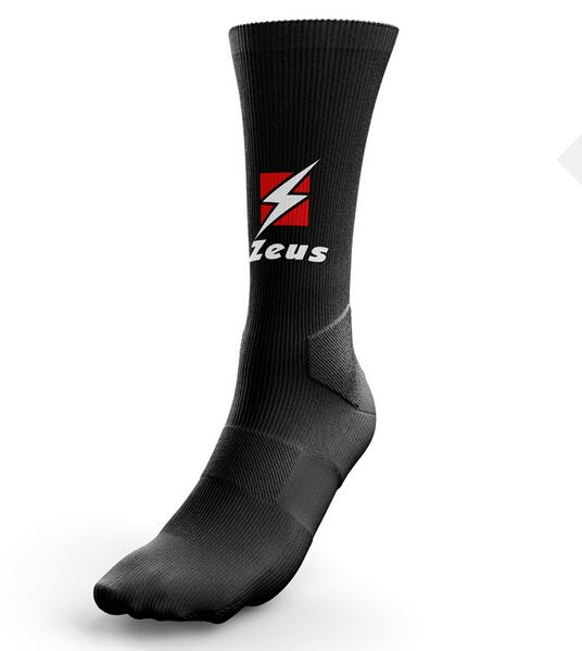 ZEUS picture