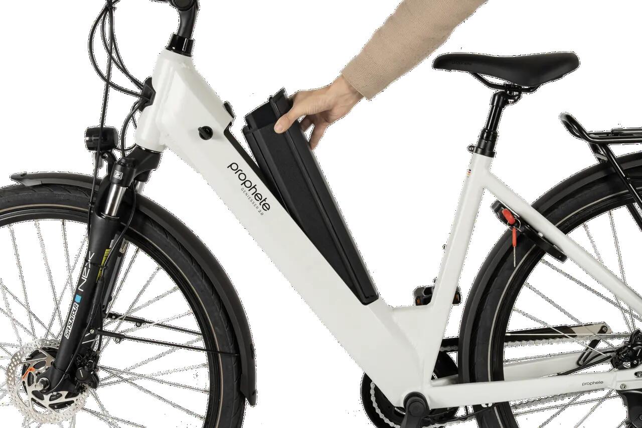 Prophete E-Bike Geniesser 2.0 28" Wave RH48 4/5