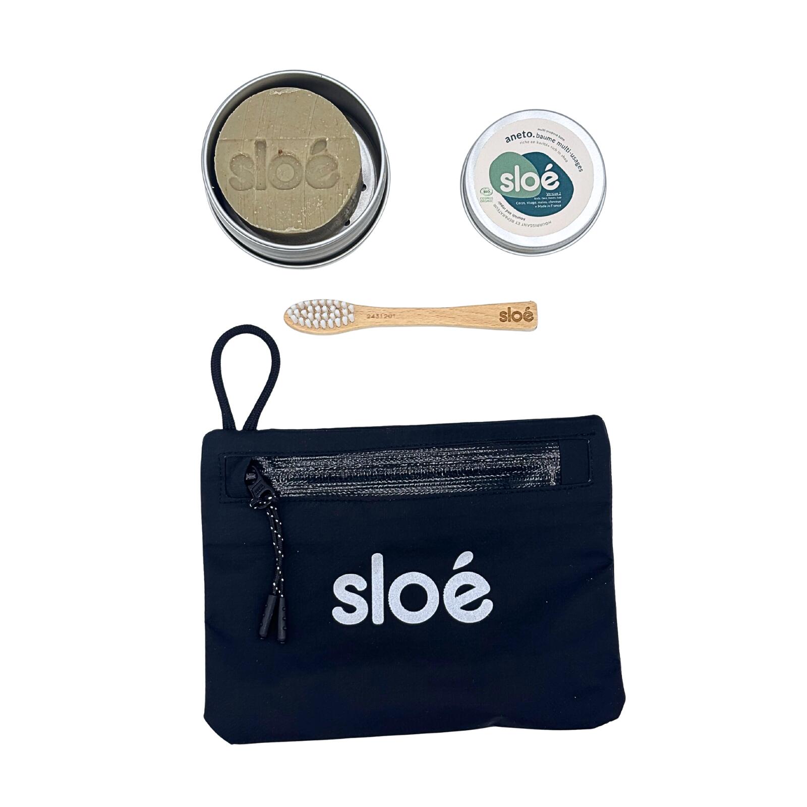 SLOE picture