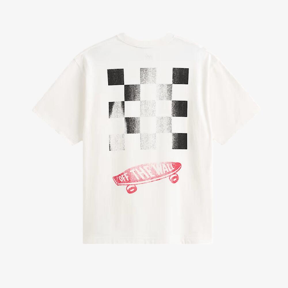 VANS picture