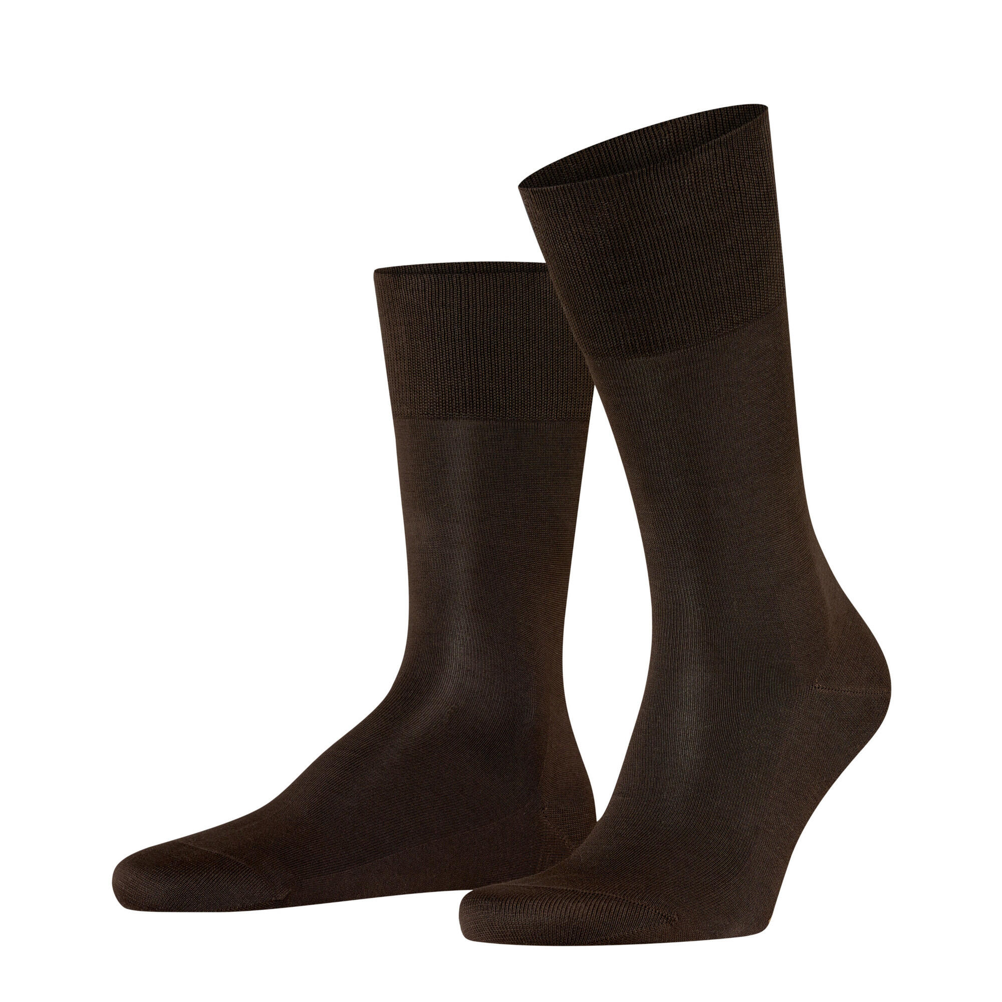 marron / marron fonce