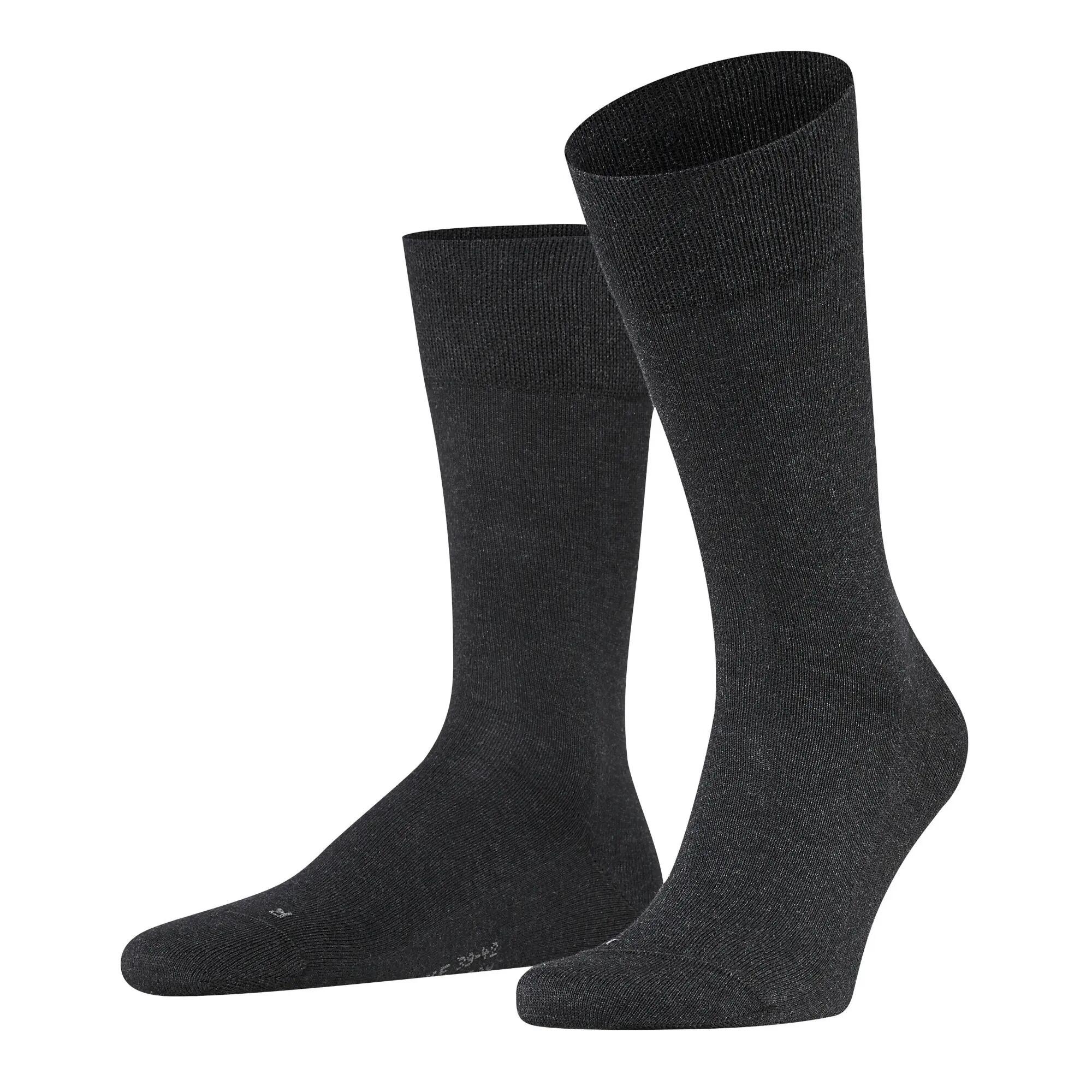 gris / gris cendré
