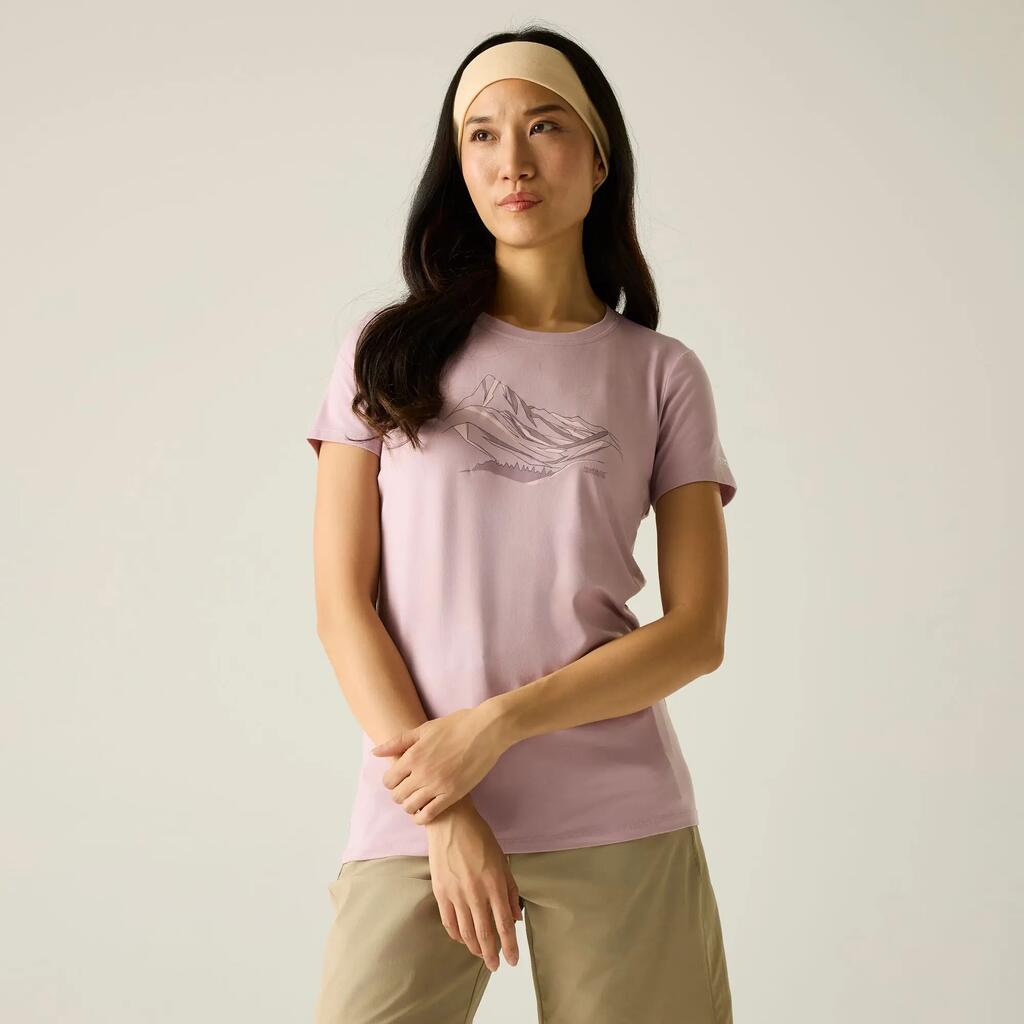 PINK / PURPLE