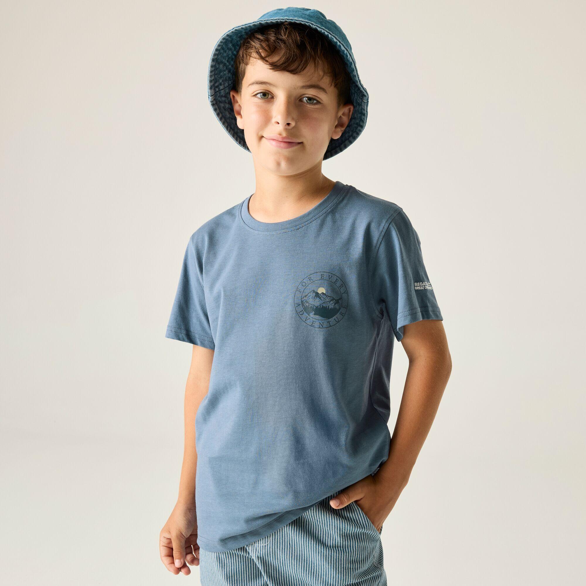 blue / blue grey / blue