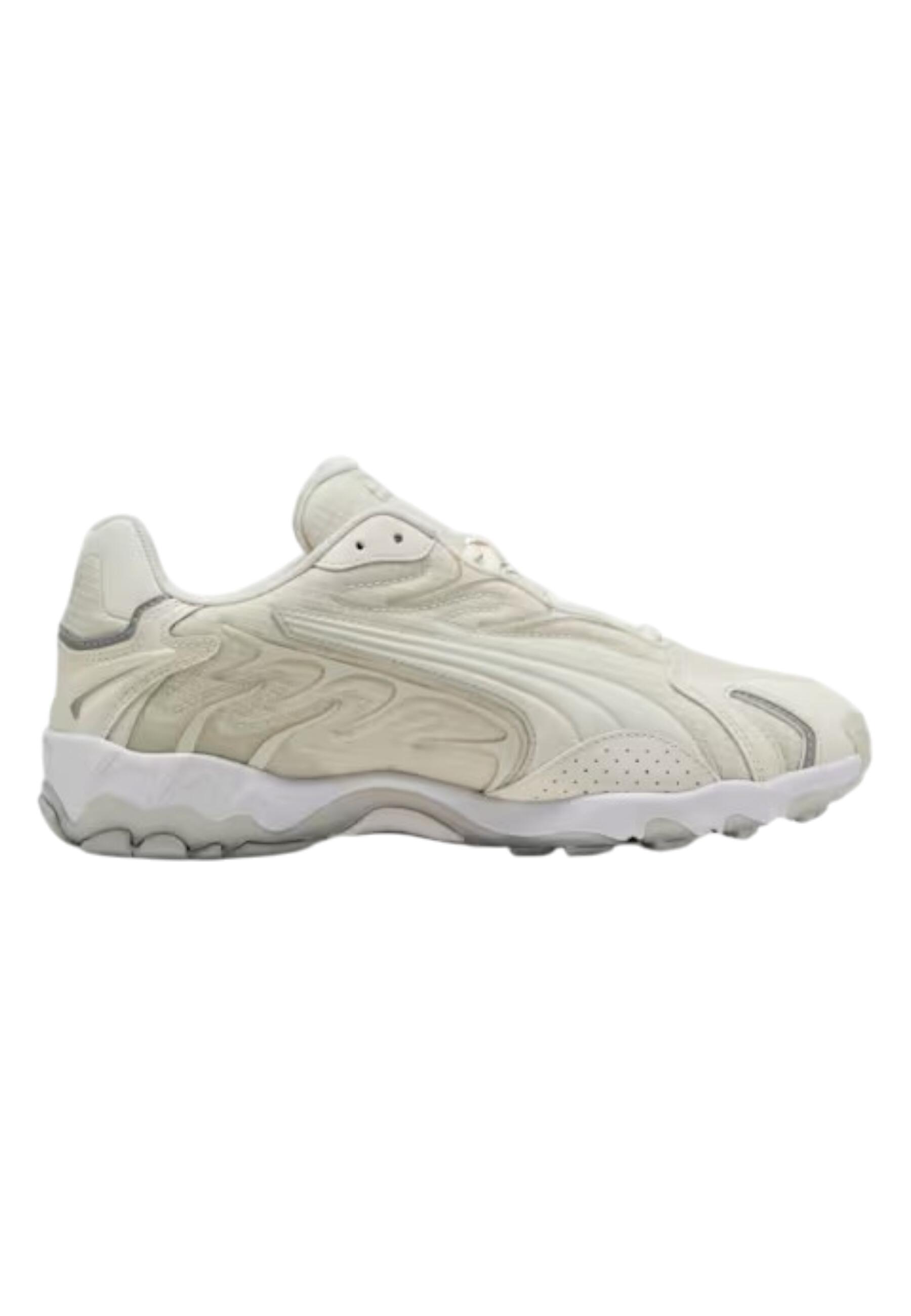 PUMA picture